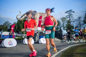 BIB: 
                            <button type="button" onclick="openModal(26541996)" class="btn btn-primary btn-sm float-right btn-popup" data-toggle="modal" data-target=".modal-high-quality">
                        <i class="fas fa-shopping-cart"></i> Add to Cart
                    </button>
                                            <button type="button" onclick="isThisMe(26541996, true)" class="btn btn-success btn-sm float-right btn-popup btn-isme hidden" data-toggle="tooltip" data-placement="bottom" title="นี่คือรูปของคุณใช่ไหม คลิกที่นี่เพื่อเอาเข้าอัลบั้ม">
                        <i class="fas fa-plus"></i> Add to album
                    </button>
                    <button type="button" onclick="isThisMe(26541996, false)" class="btn btn-warning btn-sm float-right btn-popup btn-isnotme hidden">
                        <i class="fas fa-ban"></i> Remove from album
                    </button>